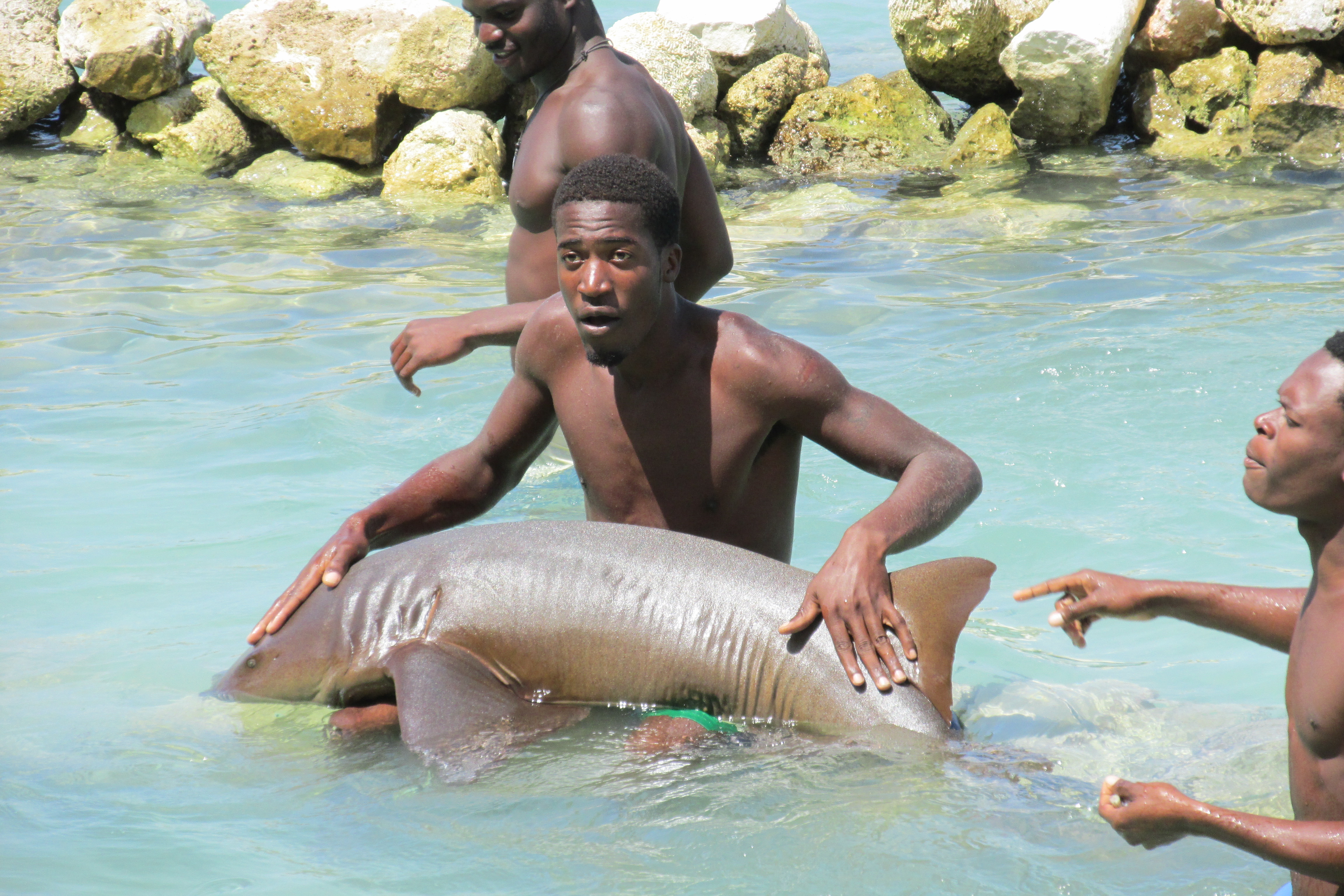 Beach Jamaica Nude Picture